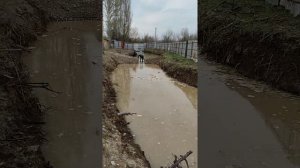 разведение форели !