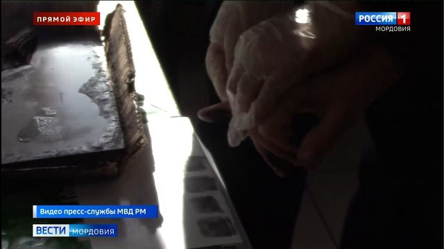 Житель Мордовии задержал грабителя смотреть онлайн