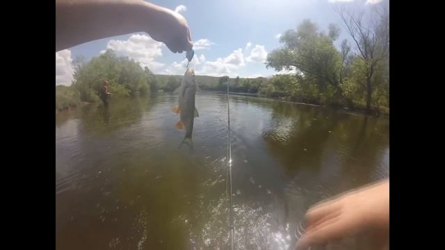 Ловля Голавля. Река Урал. смотреть онлайн