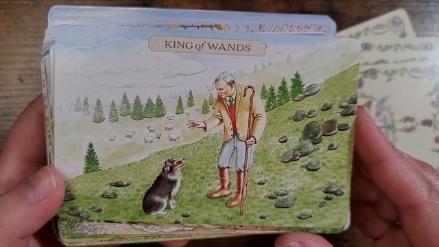 Pastoral Tarot | Unboxing and Flip Through смотреть онлайн