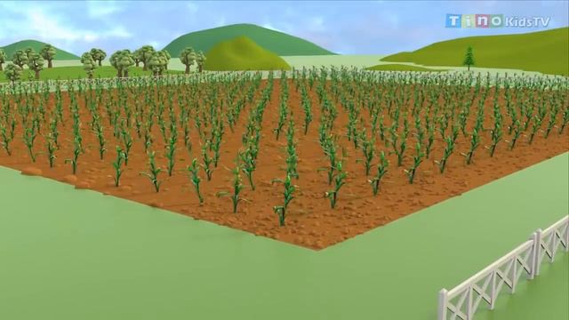 Трактор-комбайн для детей, собирающий кукурузу | Сельскохозяйственные грузовики для детей смотреть онлайн