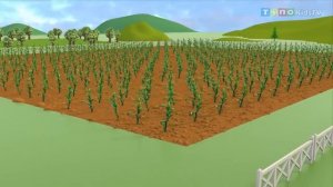 Трактор-комбайн для детей, собирающий кукурузу | Сельскохозяйственные грузовики для детей