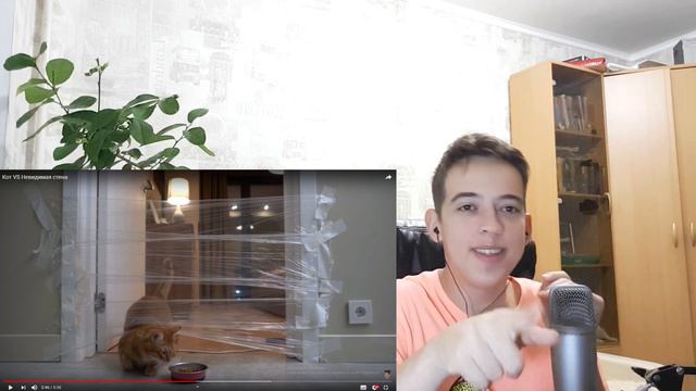 TheBrianMaps Кот VS Невидимая стена РЕАКЦИЯ|РЕАКЦИЯ НА БРАЙН МАПСА смотреть онлайн