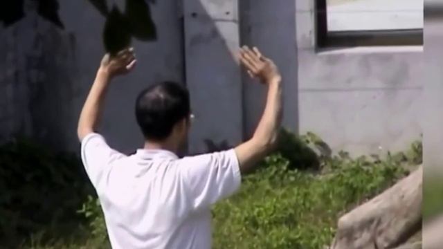 Откусил голову человека Bit Off A Man's Head
