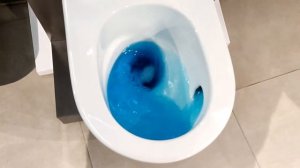 По кругу, слив воронкой! Такого унитаза на Ютубе еще не было! This was not on YouTube!
