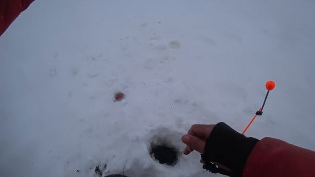 ОДИН ЗАБРОС 4 РЫБЫ, ЖОР!!НЕЛЬМА НА БАЛАНСИР!! Клев окуня. Налим ,язь. Первый лед.Видео из Архива. смотреть онлайн