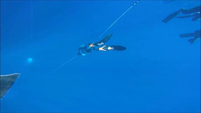 stage con umberto pelizzari al cala d'oliva diving asinara luglio2016 смотреть онлайн