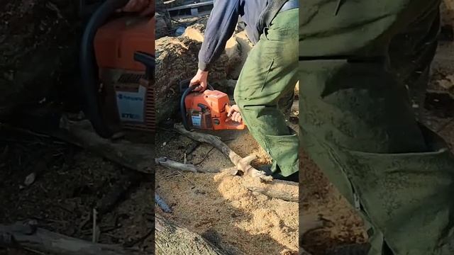 Старенькая Husqvarna может! 272xp #chainsawman #chainsaw #stihl #husqvarna #woodworking #бензопила смотреть онлайн