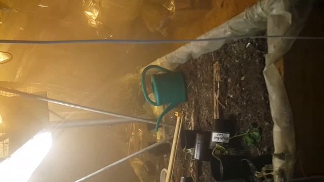 Туманообразователь электрический (ULV распылитель) смотреть онлайн