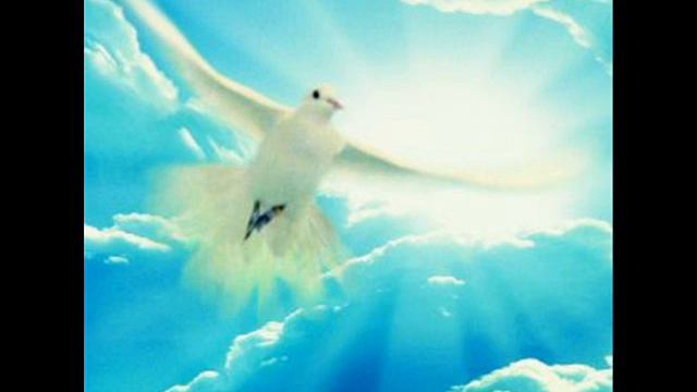 Michael Angelo Batio - Peace смотреть онлайн