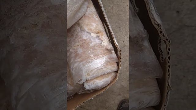 Рубец говяжий чищенный смотреть онлайн