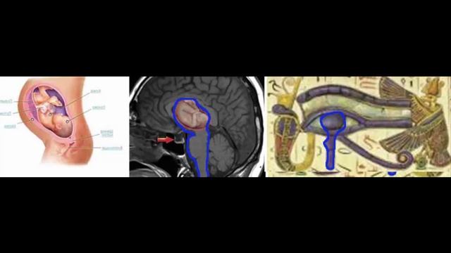 Семинар 21. Геометрия дыхания (5 часть) смотреть онлайн