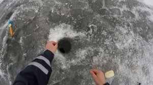 Ловля плотвы зимой на течении