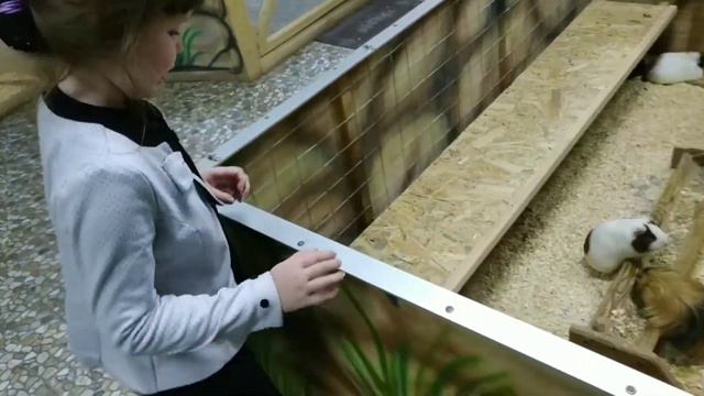 Контактный зоопарк смотреть онлайн