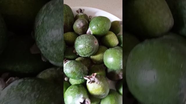 Сезон гриппа и простуды..Фейхоа смотреть онлайн