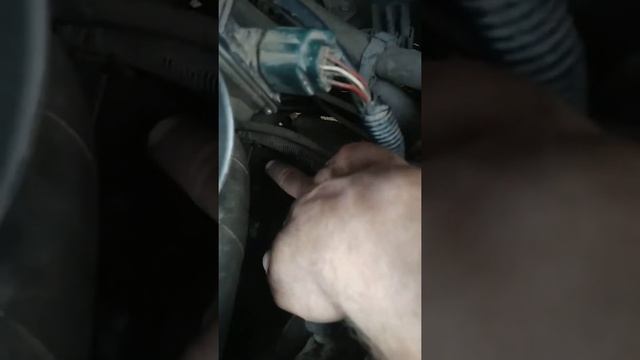 Замена датчиков коленвала и распредвала Nissan X-Treil, двигатель QR20