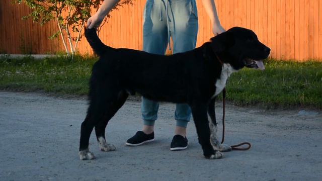 Окленд 6 месяцев ПРОДАЖА +79501931664 смотреть онлайн