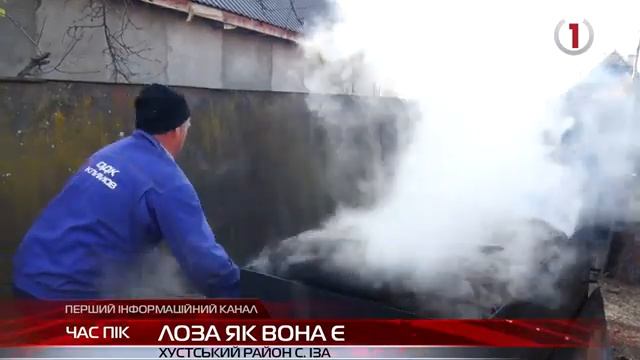 Весь процес із середини: як в Ізі на Хустщині відварюють лозу та готують її до плетіння виробів смотреть онлайн