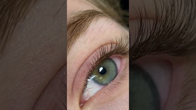 Наращивание ресниц классика в коричневом цвете ? #lashes #makeup #shortvideo #like #love #top смотреть онлайн