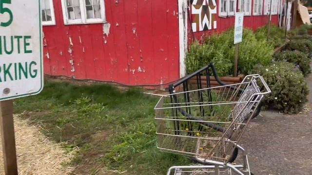 ОКТЯБРЬСКИЙ ВЛОГ: КОНЦЕРТ В ПОДДЕРЖКУ УКРАИНЫ, СОБИРАЕМ ТЫКВЫ, ПОКУПКИ ДЛЯ ДОМА, ОДЕЖДА ДЛЯ ДЕТЕЙ смотреть онлайн