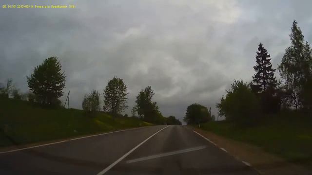 Звери на дороге смотреть онлайн