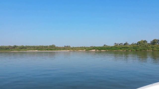 Неман 450 Open + Honda BF50 на р. Томь