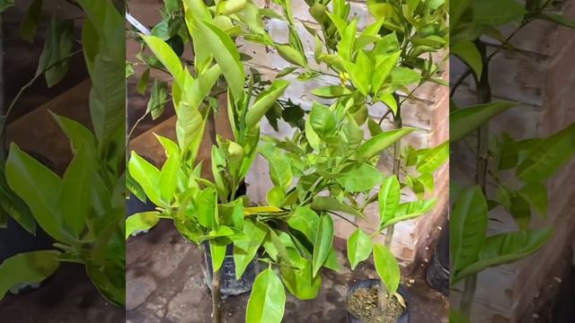 Обзор 7июня смотреть онлайн