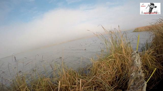 Охота на утку, Ростовская обл., сезон 2020. смотреть онлайн