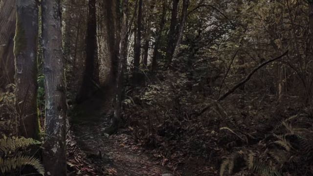 The Magic Door Dark Forest Adventure Walkthrough on Alexa смотреть онлайн