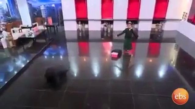 Ydres le zeregnoch esti kezich lij fkr temaru смотреть онлайн