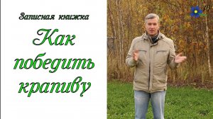 Как избавиться от крапивы