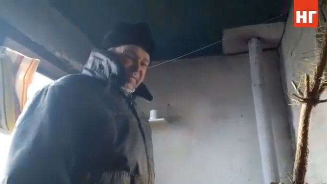 Акция "Прощай елка" в Костанае смотреть онлайн