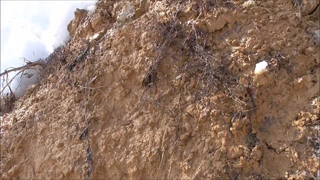 На Липовку! На Липовку! За камнями! смотреть онлайн