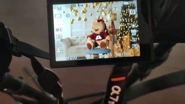 Сравнение размытия микро 4/3 и полного кадра смотреть онлайн