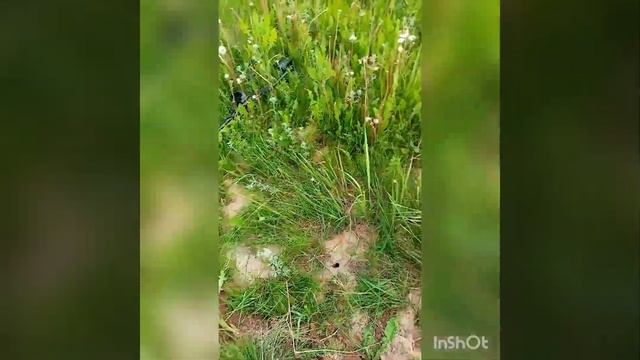 кто лучше по копу  чермета. тх850 или мд 4080? итоговый вердикт