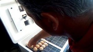 обзор инкубатора(БИ-1)БИ-2 (1).mp4