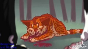 Коты-Воители |Бич и Огнезвёзд|Брат за брата