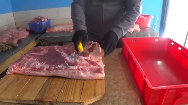 САЛА 50 KG, МЯСА 80KG,