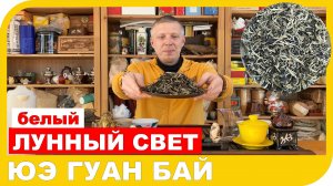 ЧАЙ БЕЛЫЙ ЛУННЫЙ СВЕТ или ЮЭ ГУАН БАЙ