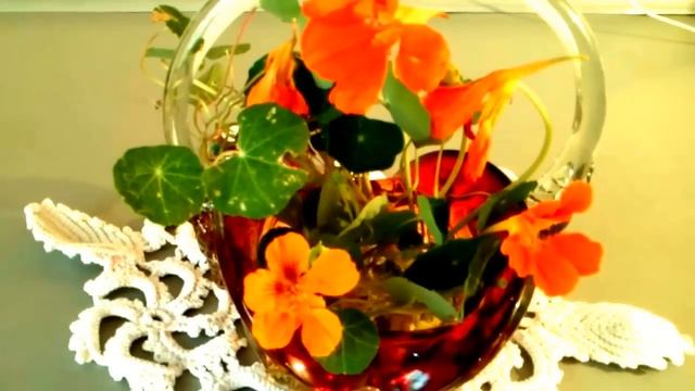 ?ЧИСТИТ КРОВЬ, ОТ СКЛЕРОЗА, ОТ ПОЛИПОВ, ЛЕЧИТ НЕРВЫ, ПОЧКИ - НАСТУРЦИЯ !!! НАРОДНАЯ МЕДИЦИНА.? смотреть онлайн