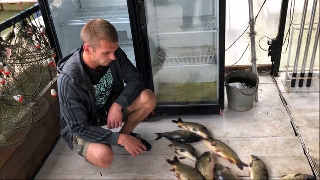 07/07/18 Улов за пол-дня на основном водоеме Савельево-2!!! смотреть онлайн