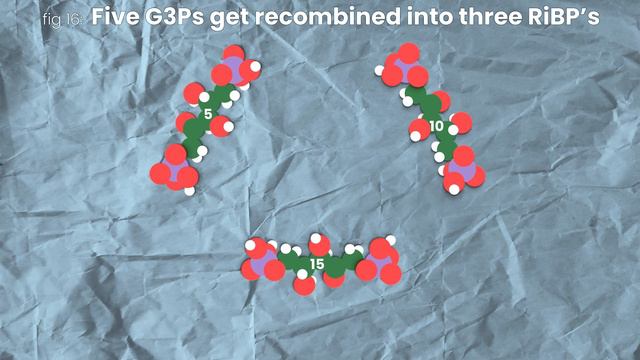 How Plants Turned Air Into Civilization ｜The Calvin Cycle смотреть онлайн