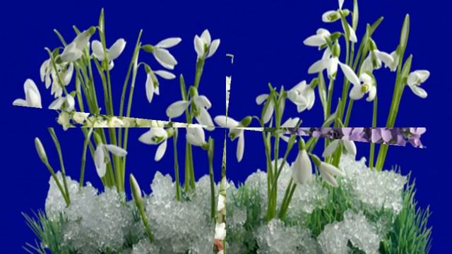 Весенние цветы смотреть онлайн