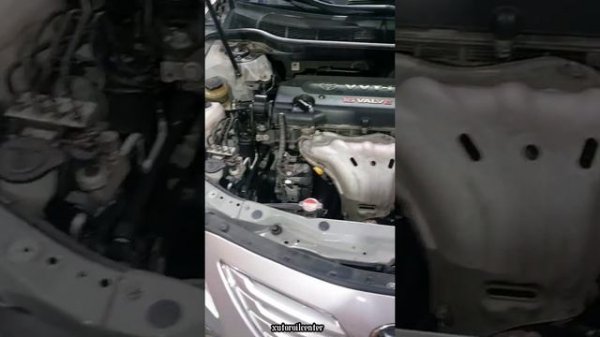 ROWE 5W40 OİL TOYOTA CAMRY