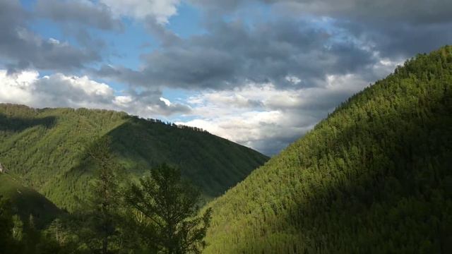 Алтай 07.06.2019 с. Усть-Кокса смотреть онлайн