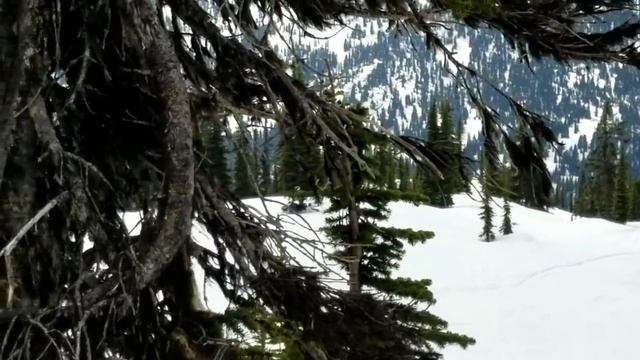 TURBO POLARIS PRO PROBLEMS смотреть онлайн