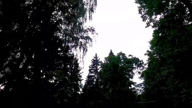 как я приняла ислам #пятницамусульманки смотреть онлайн