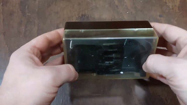 Харьковский ТИКТОКЕР и дрессированный ЛЕВ😘. Что приносят в СКУПКУ📷🔪😲. смотреть онлайн