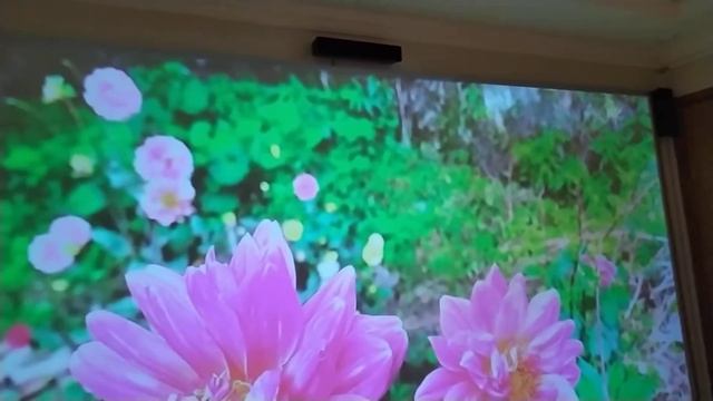 As caixinhas do home theater sony bdv-e280 blu-ray 3d - já estão no lugar . смотреть онлайн