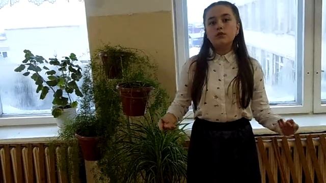 Стихотворение А.В.Евсеева "Край родной мерещится..." смотреть онлайн